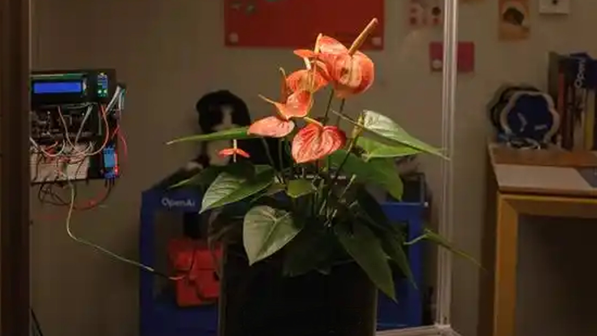 当植物“开口说话”：OpenAI开源Plant Talk